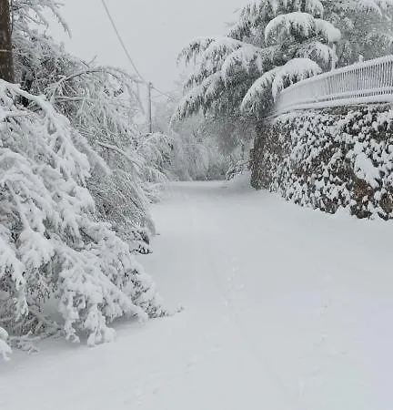 Bob House - Il Bellantonio Apartamento *