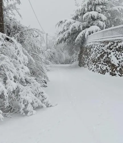 Bob House - Il Bellantonio Apartment *